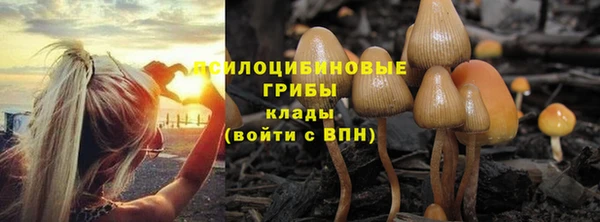 прущие крисы Карталы