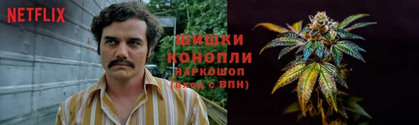 мет Карпинск