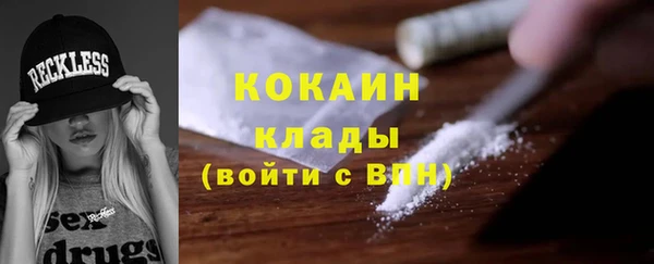 тгк Касимов