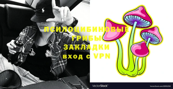 амф Кодинск