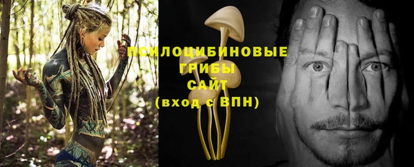 прущие крисы Карталы