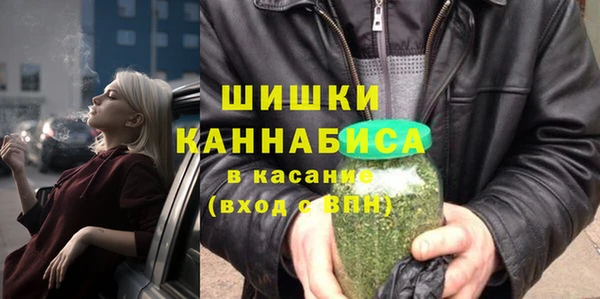 тгк Касимов