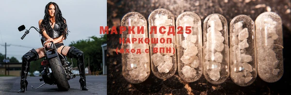 тгк Касимов