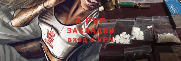 тгк Касимов