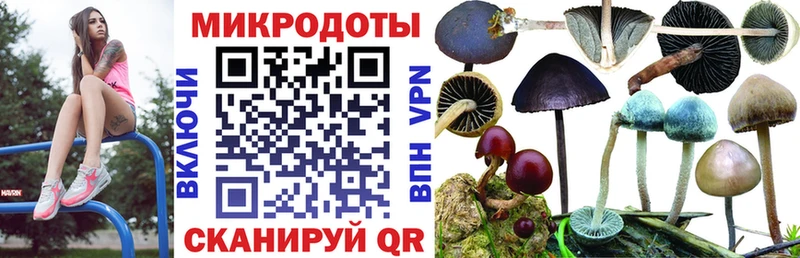 Галлюциногенные грибы Psilocybe Купить Калязин